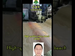 로터리 컷 비치 포니어