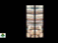 천연 목재 베니어