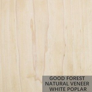 우수한 나무 옹이 목재 베니어 Natural White 포플러 무늬목 쉬트