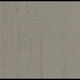 안개가 자욱한 비 곡물과 연성 PP 장식막 기판 표면