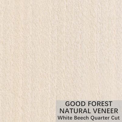 Natural White 너도밤나무 재목 베니어 크라운은 주문 제작된 서비스를 줄였습니다