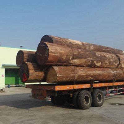 하이엔드 엔지니어링 목재 플라니어 유럽 너트 E.WT-X6133 음악 악기에 대한 쿼터 직선 OEM 공장 중국