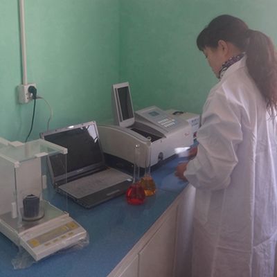 새로운 디자인 의 Recon 목재 포니어 Wenge WSW-L6761N 사용자 정의 0.15-0.55mm 두께 내부 문 표면