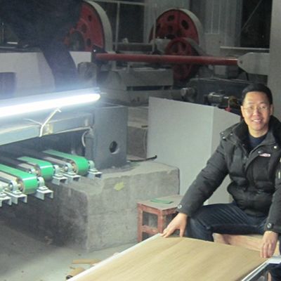 슬라이스 컷 재구성 은 오크 목재 장단 길이 2500-3100mm 벽 덮개를 위해 사용자 정의 할 수 있습니다
