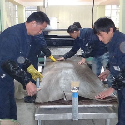 검은 고양이 눈 X009 엔지니어링 장단 실내 장식판 2050-3200mm 연장 크기