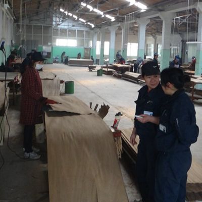 흡연 사펠 폼멜리 공학용 목재 플라니어 2500-3100mm 길게 된 크기
