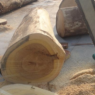 직선 에보니 컬러 엔지니어링 목재 플레어 고급 프라이वुड 640-1220mm 너비 스플레이싱