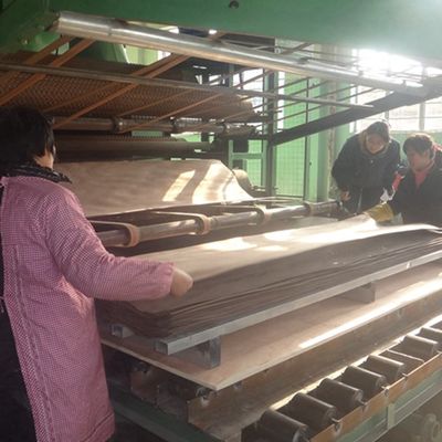 실버 사펠 폼멜 맞춤형 목재 포네어 패널 길게 된 크기 2800-3100mm 문 표면