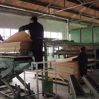 2500-3100mm 목재 플레어 검은 파동 943N 벽 덮개에 검은색과 흰색