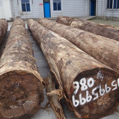 실버 버드'S Burl SBB-X0033 두께 0.15-0.6mm의 엔지니어링 목재 장단