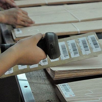 곧은 OEM 자연적 마호가니 목재 베니어는 문외피를 위해 곡물 2500-3100MM을 그림으로 나타냈습니다