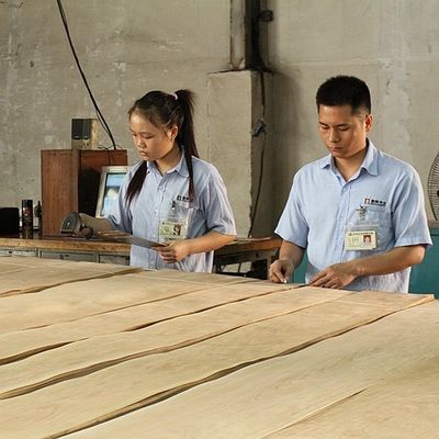 가구와 악기를 위한 미국 자연적 단풍나무 목재 베니어 버드세이 단풍나무 두께 0.5 밀리미터 상등품