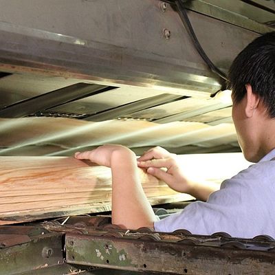 곧은 OEM 자연적 마호가니 목재 베니어는 문외피를 위해 곡물 2500-3100MM을 그림으로 나타냈습니다