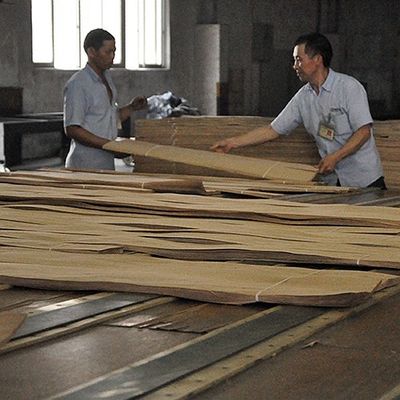 FSC 중국 제조사를 만드는 고급의 가구를 위한 장식 자연적 호두 목재 베니어 우수한 옹이 곡물