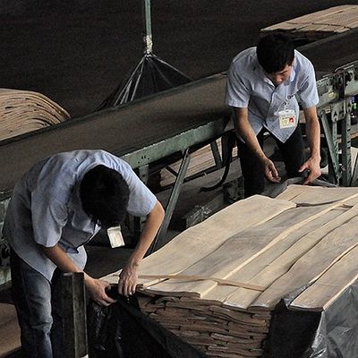 FSC 자연적 흰재 옹이 베니어판 나선 패턴은 호텔 장식 두께 0.5-0.55mm을 위해 등급을 낟알로 만듭니다