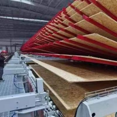 라디아타 소나무 지향 스트랜드 보드 18mm OSB3 목재 구조물 건물 룰리 나무