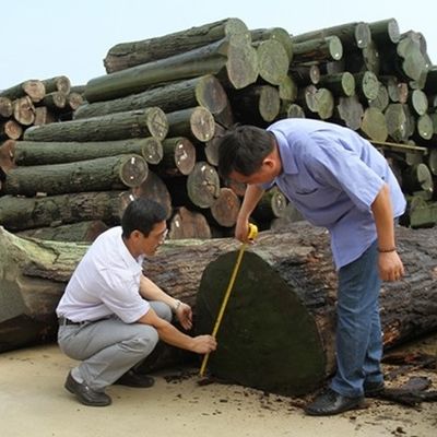 레이스 텍스처 이중 색상 엔지니어링 목재 장단 2850mm 두께 맞춤형