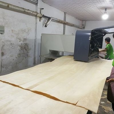 노란 캠포르 사펠 포멜 고품질 목재 장단 호텔 장식용 특이한