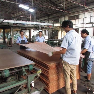 로마 RN-X8092C 왕자 곡물 불규칙 질감 2500-3100mm 현대 목문 디자인