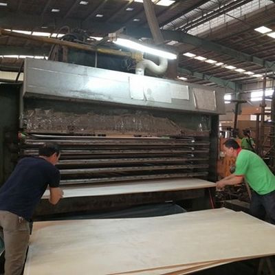 로마 RN-X8092C 왕자 곡물 불규칙 질감 2500-3100mm 현대 목문 디자인
