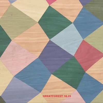 예술적 파키트 나무 플레너 2500*640mm 수작업 고정형 사용자 정의 가능한 예술 스플라이싱 벽지를 위해