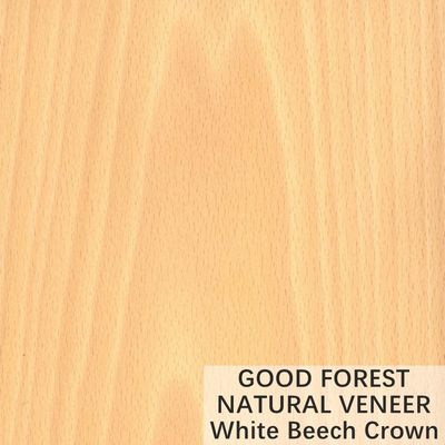 Natural White 너도밤나무 재목 베니어 크라운은 주문 제작된 서비스를 줄였습니다